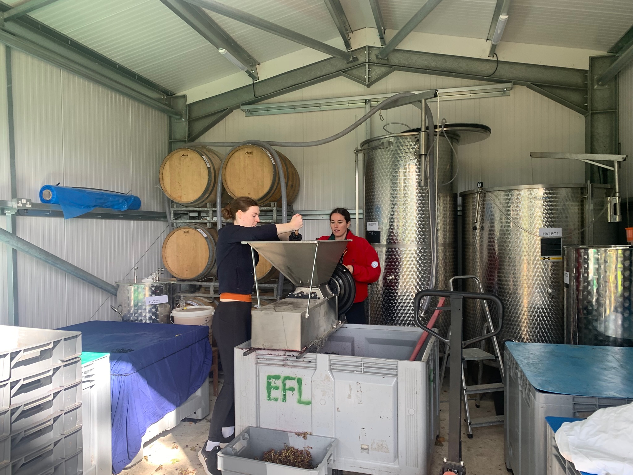 Winery In Action