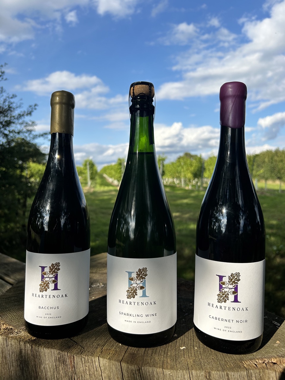 Sample Wines